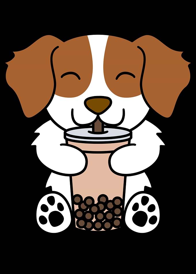 Brittany Spaniel Boba