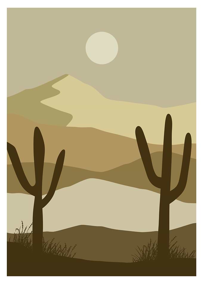Desert Landscape