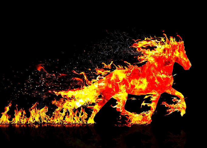 Fire Horse Animal Fantasy