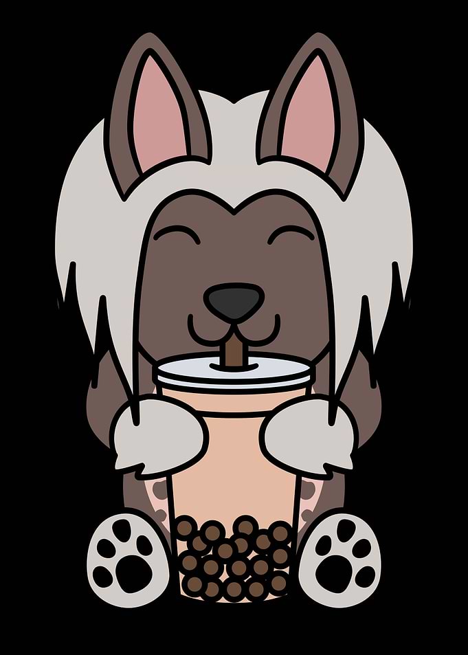Chinese Crested Boba