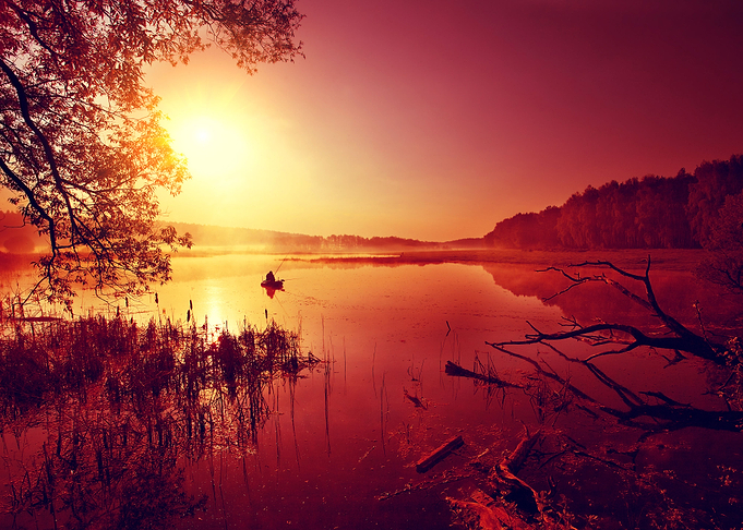 Natures