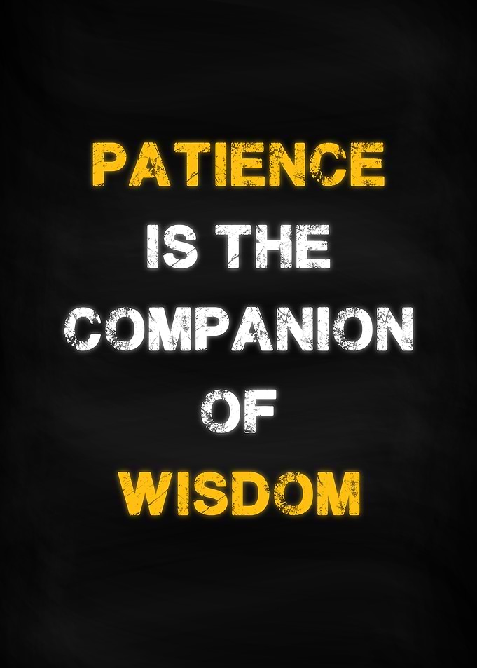 Patience Wisdom Success