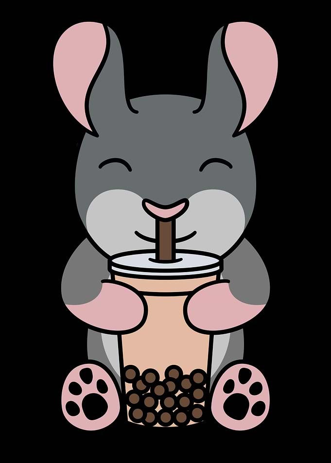 Chinchilla Bubble Tea