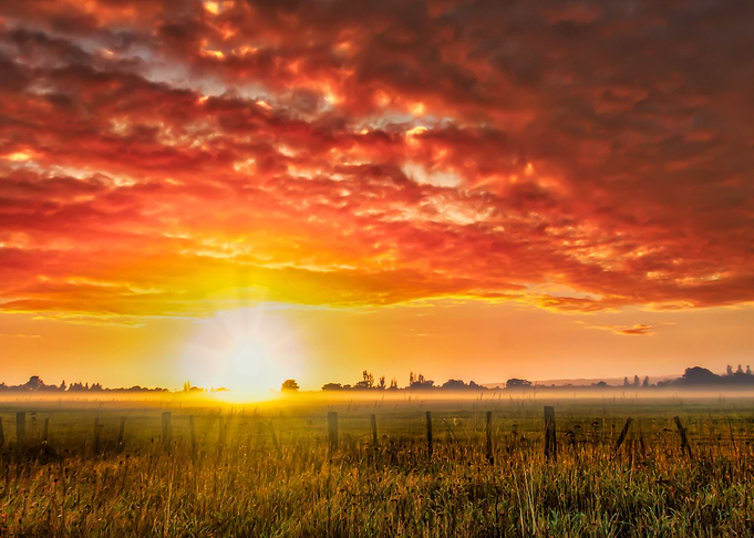 Natures