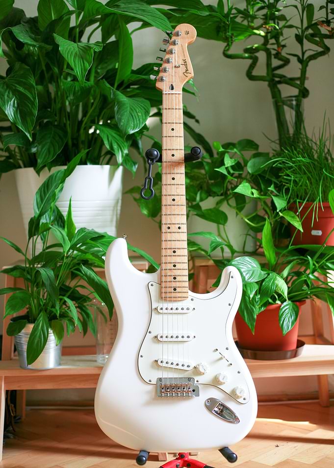 Bass