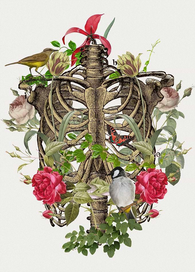 floral thorax