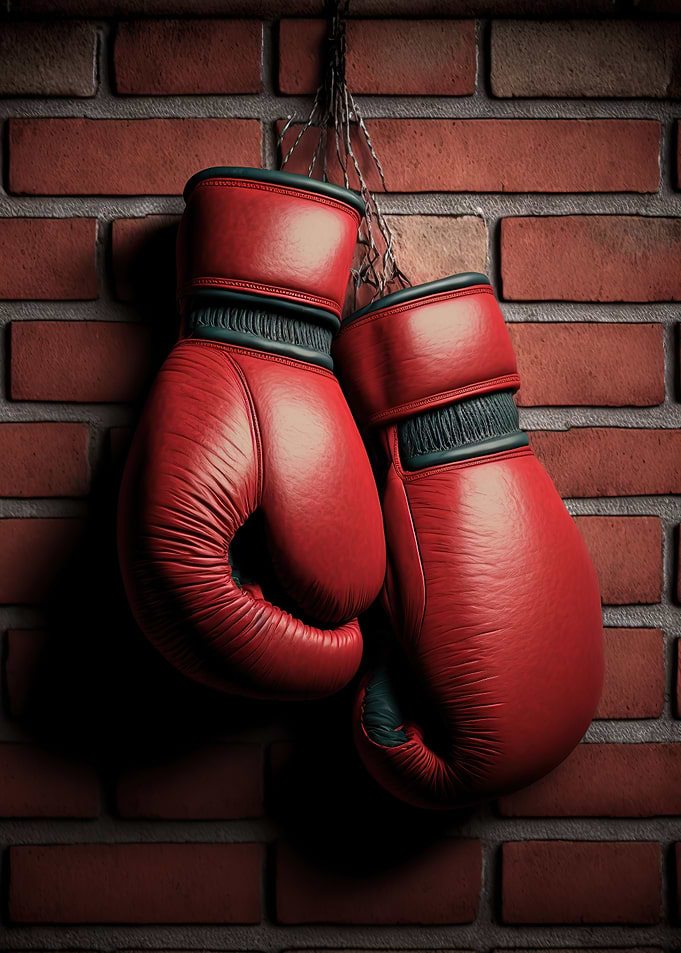 Boxing gloves