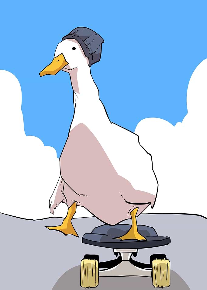 skateboard duck