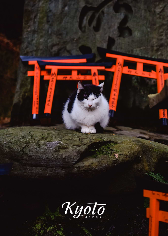 Kyoto