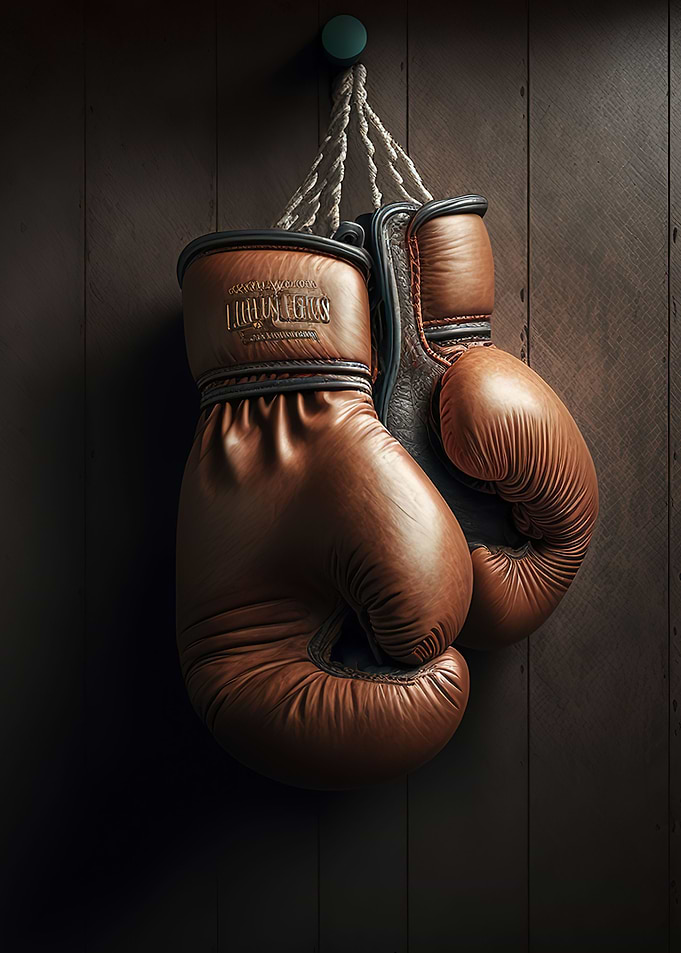 Boxing gloves
