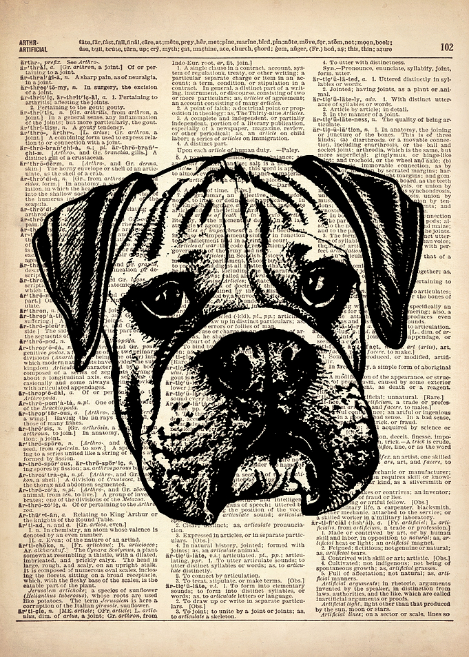DOG ILLUSTRATION ART
