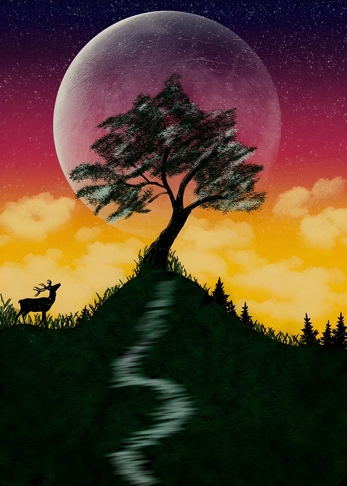 Tree in sunset