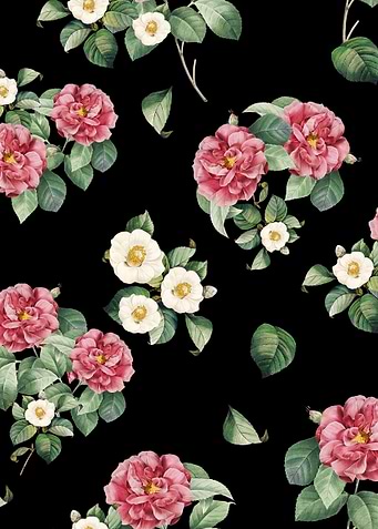 Vintage Japanese Camellia