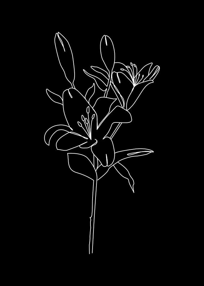 One line art flower botani