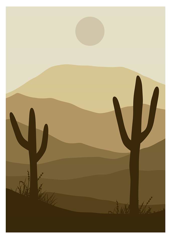 Desert Landscape