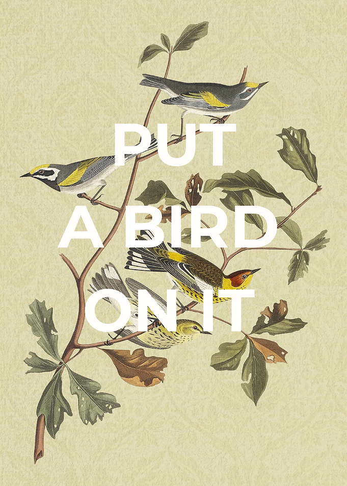 Put a bird on it