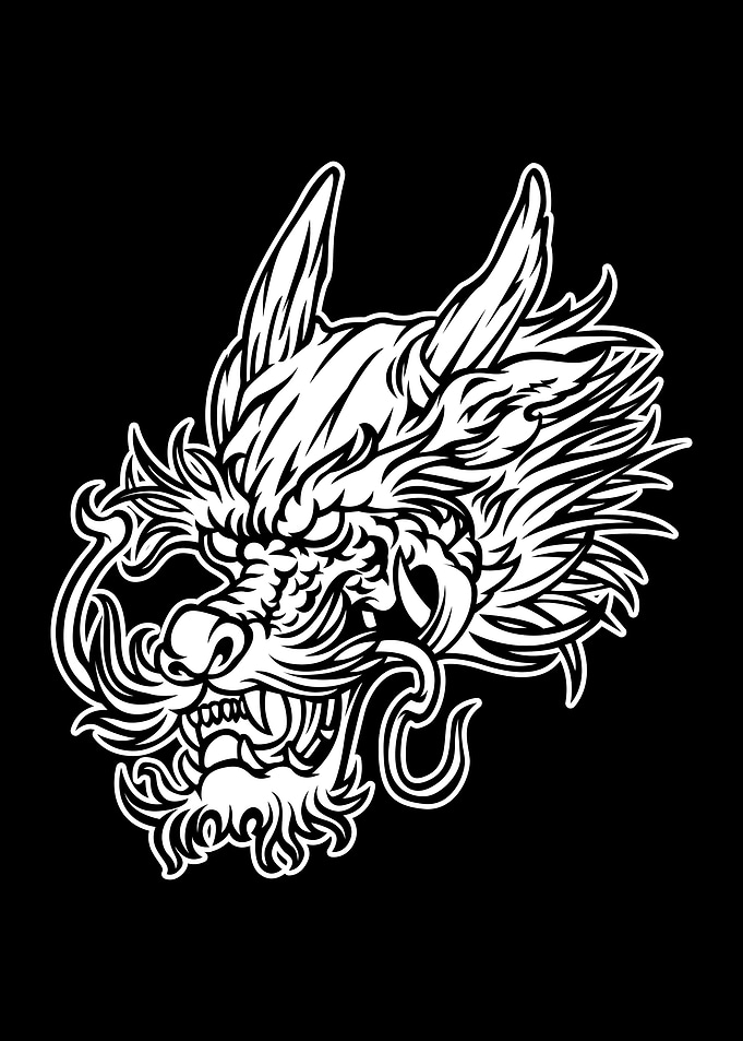 Samurai Black and White 03