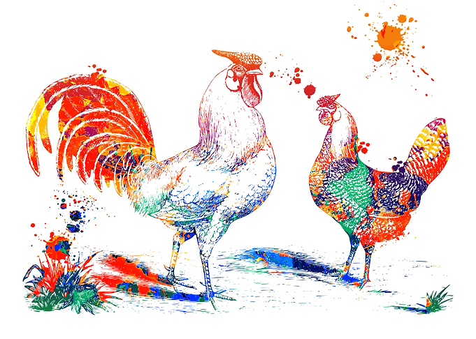 Rooster and a Hen