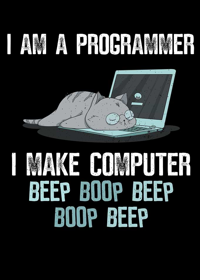Software developer cat
