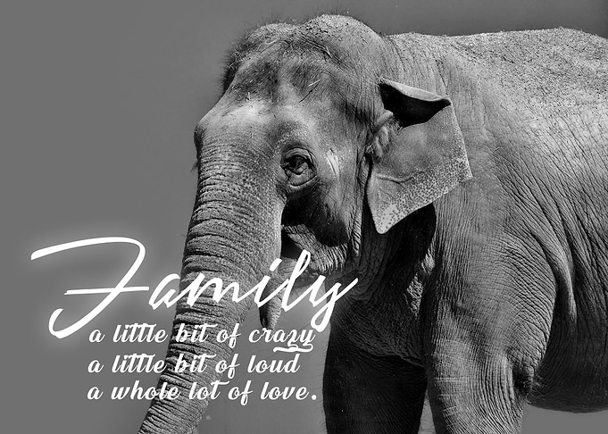 Family a little bit