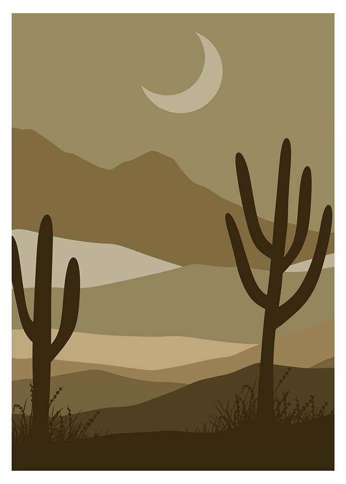 Desert Landscape