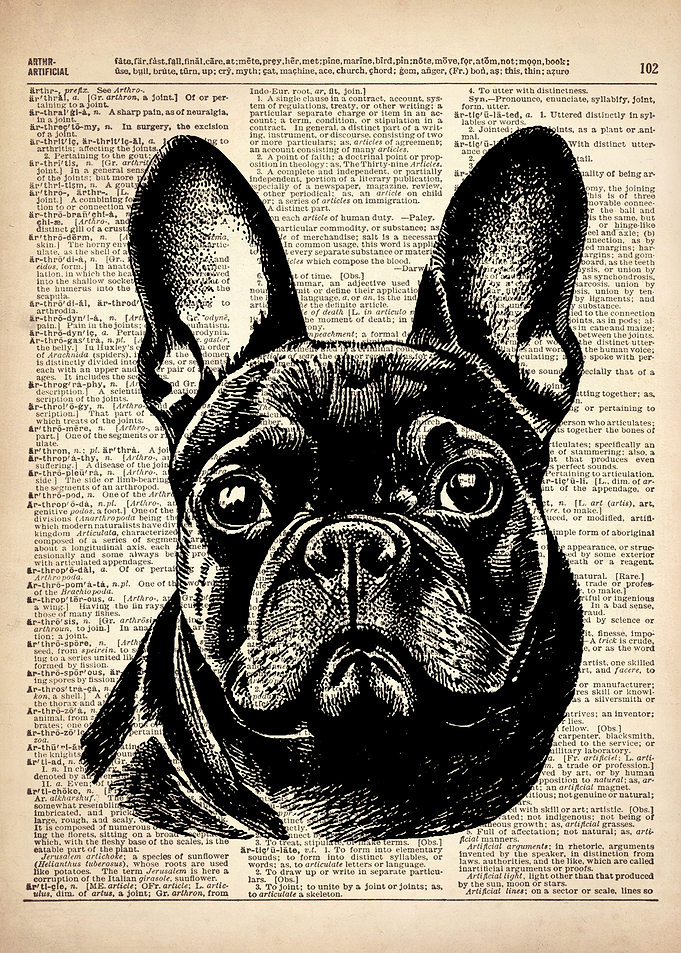 FRENCH BULLDOG DOG ART