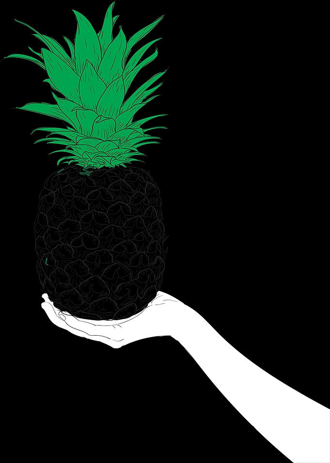 My Invisible Pineapple