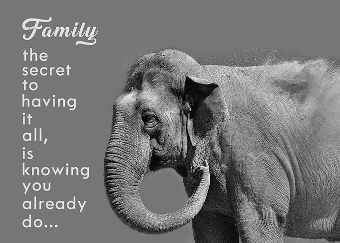 Family the secret