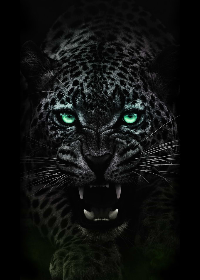 Angry Face Tiger