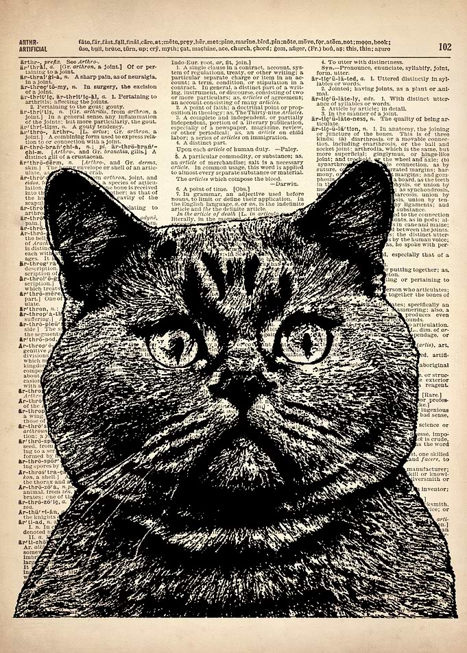 CAT ILLUSTRATION