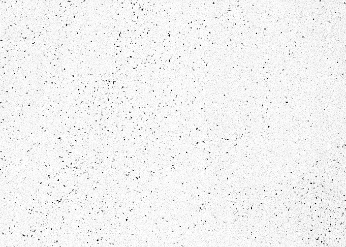 Speckle texture grunge var