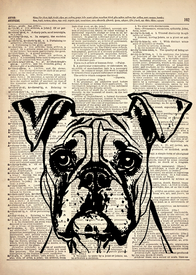 DOG ILLUSTRATION