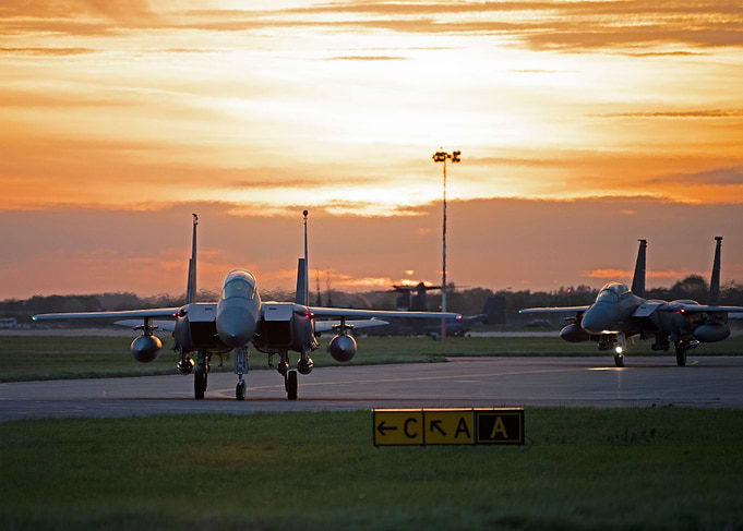 Eagle sunset