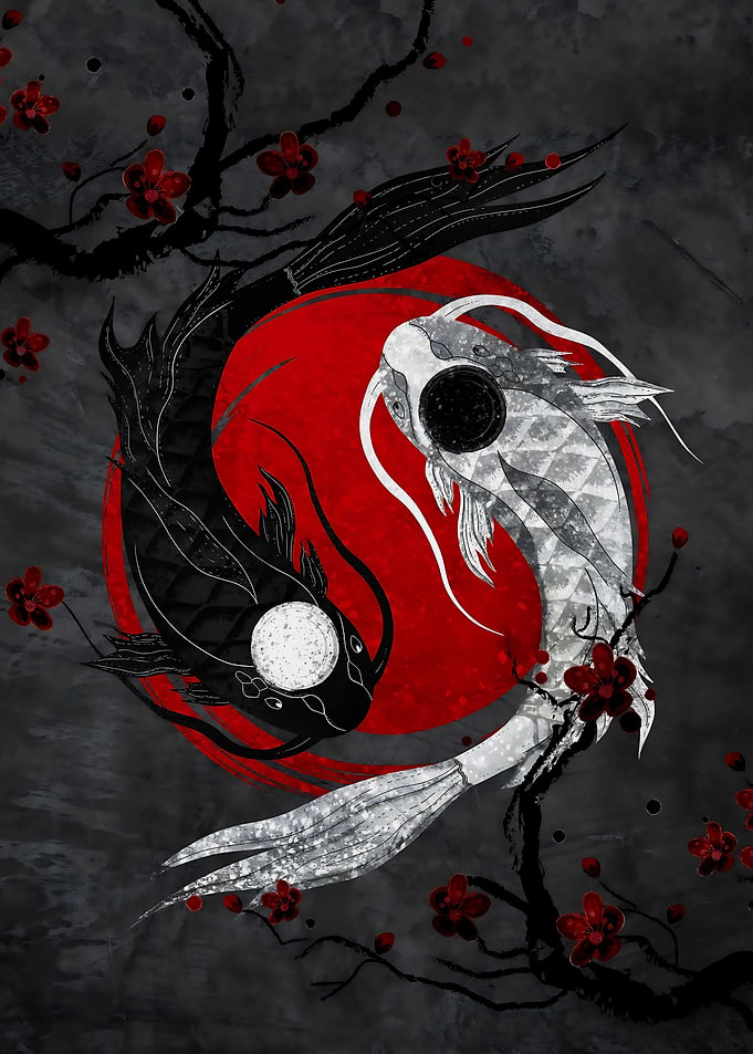 Black and White Japan Koi