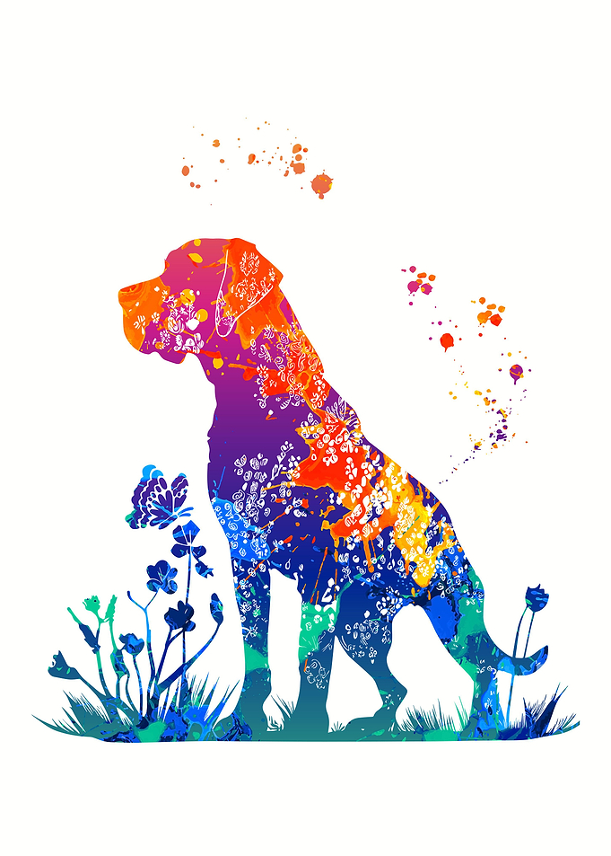 Boerboel