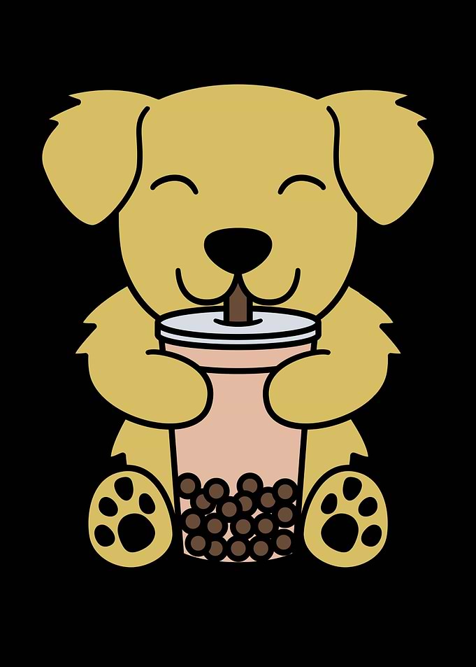 Golden Retriever Boba