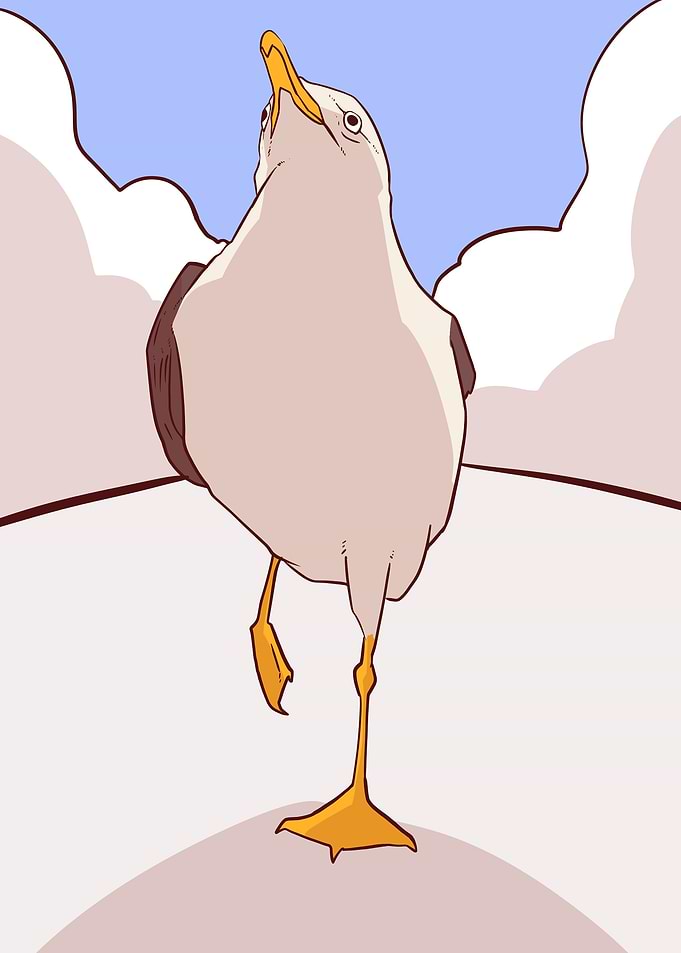 haughty bird