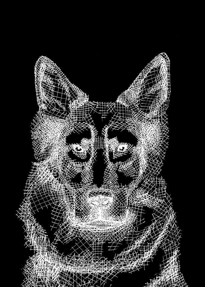 wolf abstract line