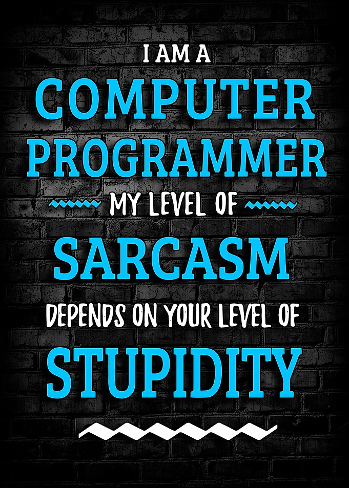 Programmer