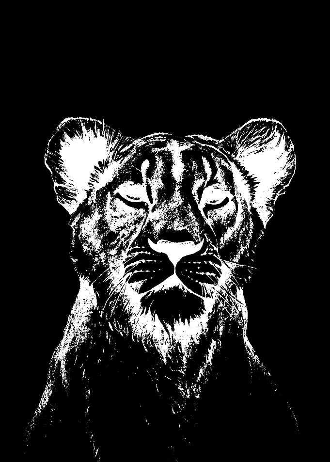 lion abstract line