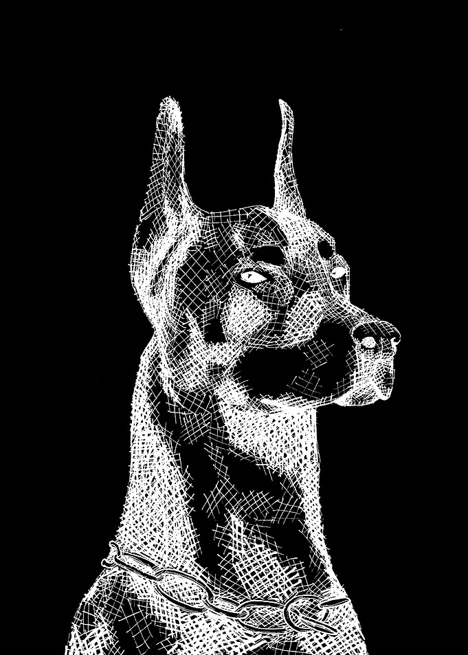 dog abstract line