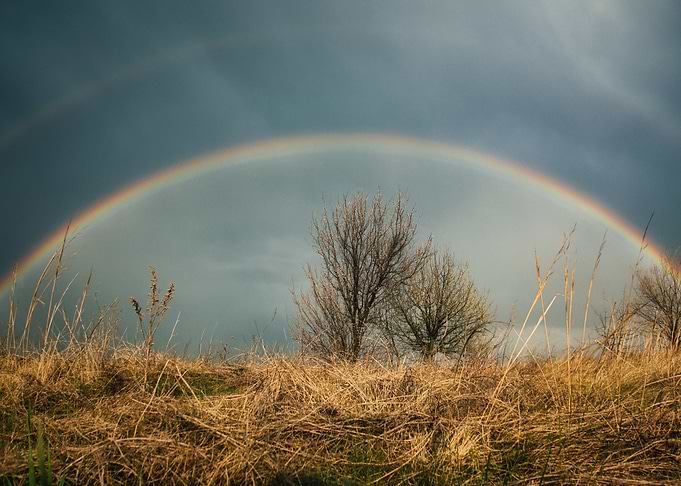 Catch the rainbow