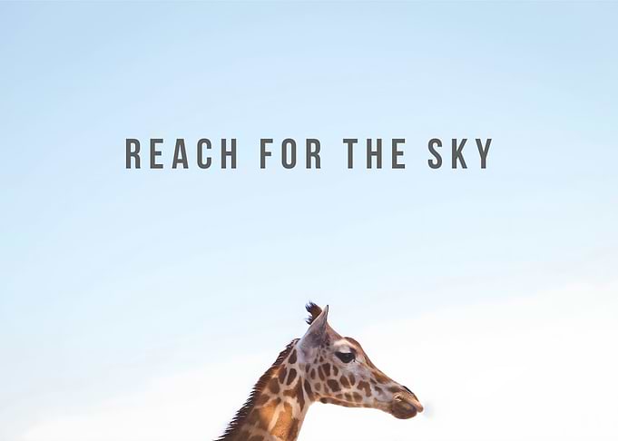 Reach for the Sky