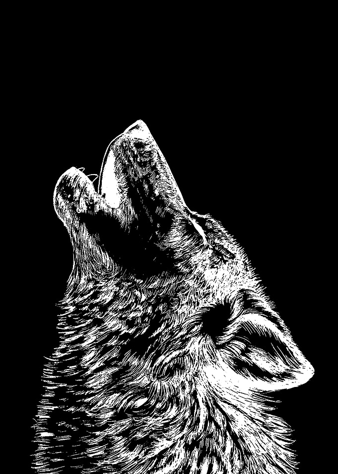 wolfs abstract line