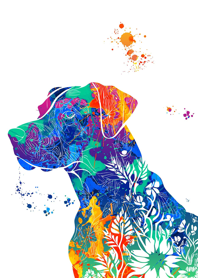 Dogo