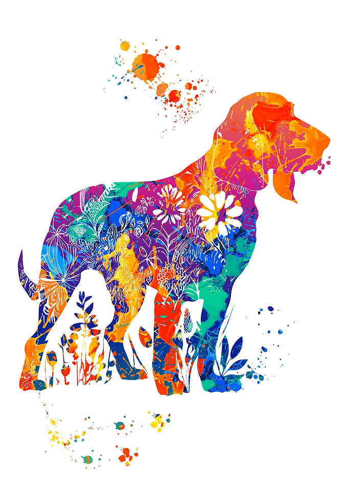 Bloodhound