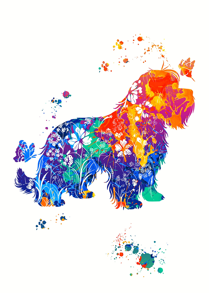 Briard