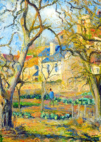 Vegetable Garden