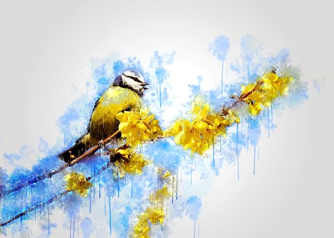 Bird with Flowers