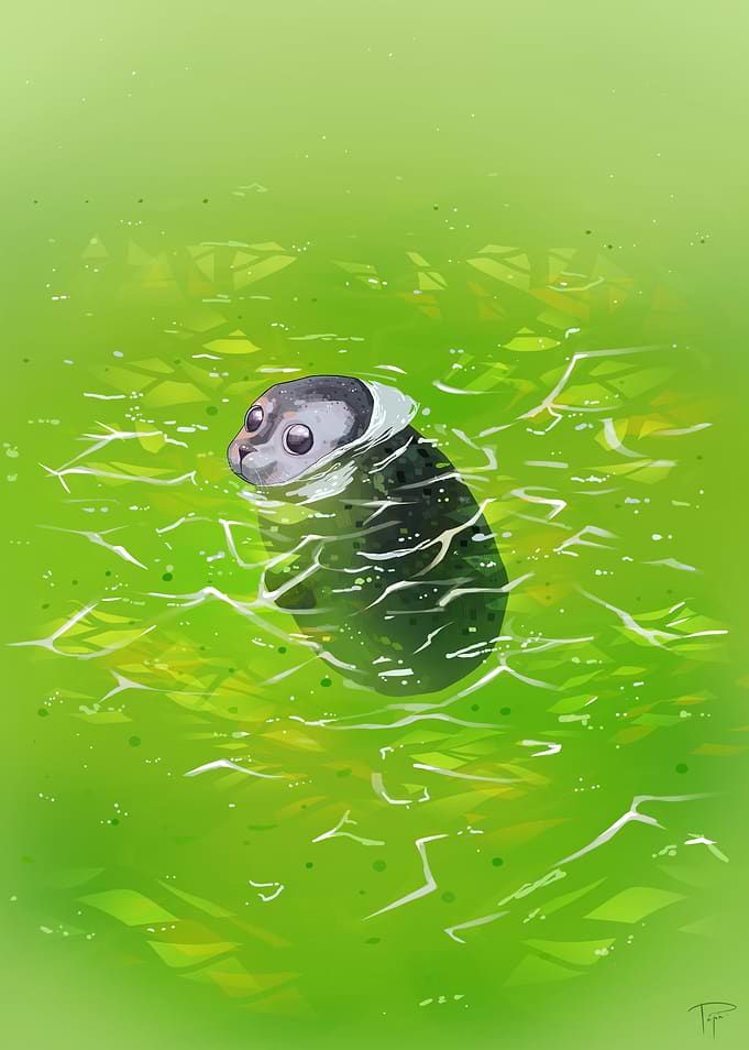 Little Seal Green